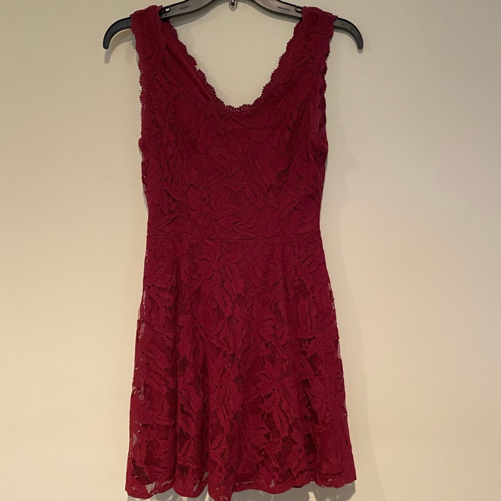 Alya Lace Skater Dress